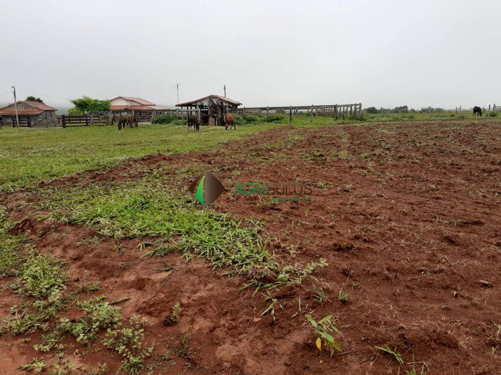 Terreno, 3 hectares - Foto 12