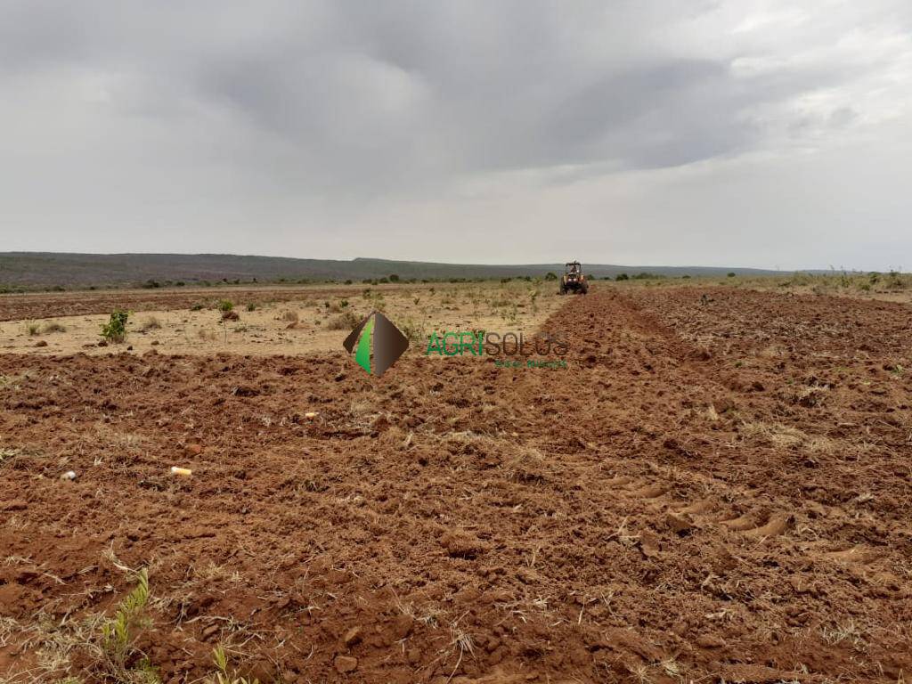 Terreno, 3 hectares - Foto 13