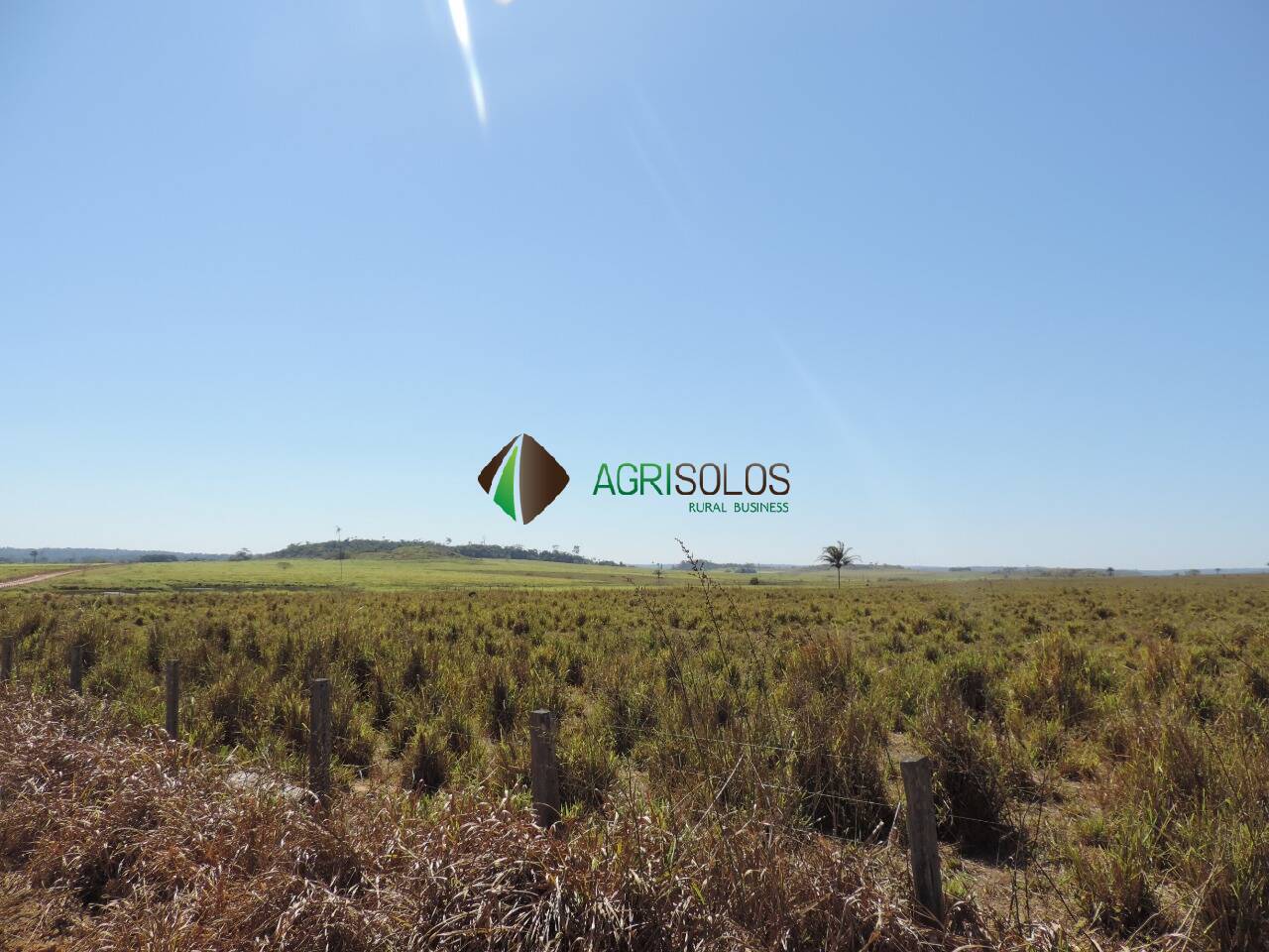 Terreno, 2 hectares - Foto 4