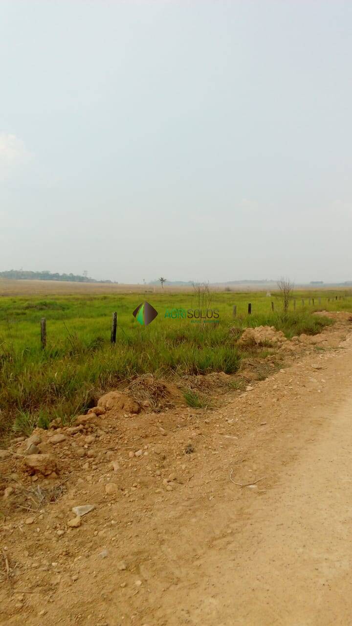 Terreno, 2 hectares - Foto 7