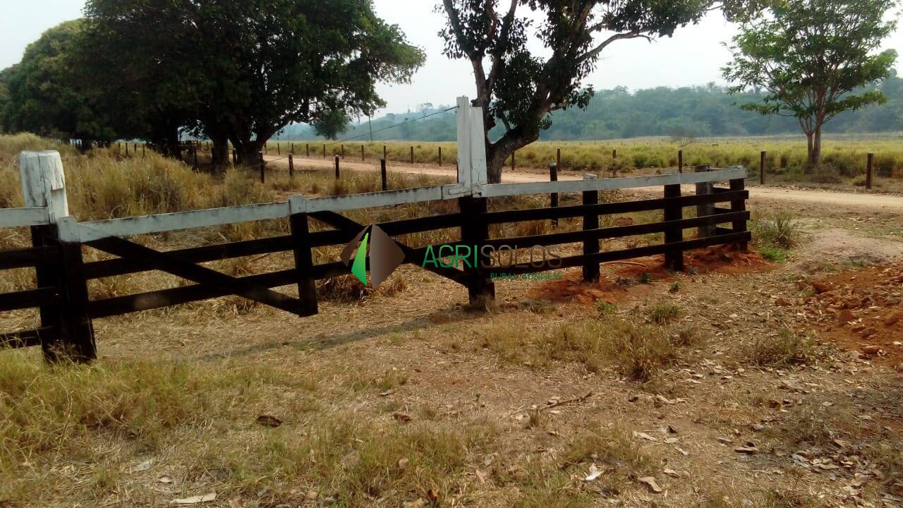Terreno, 2 hectares - Foto 6