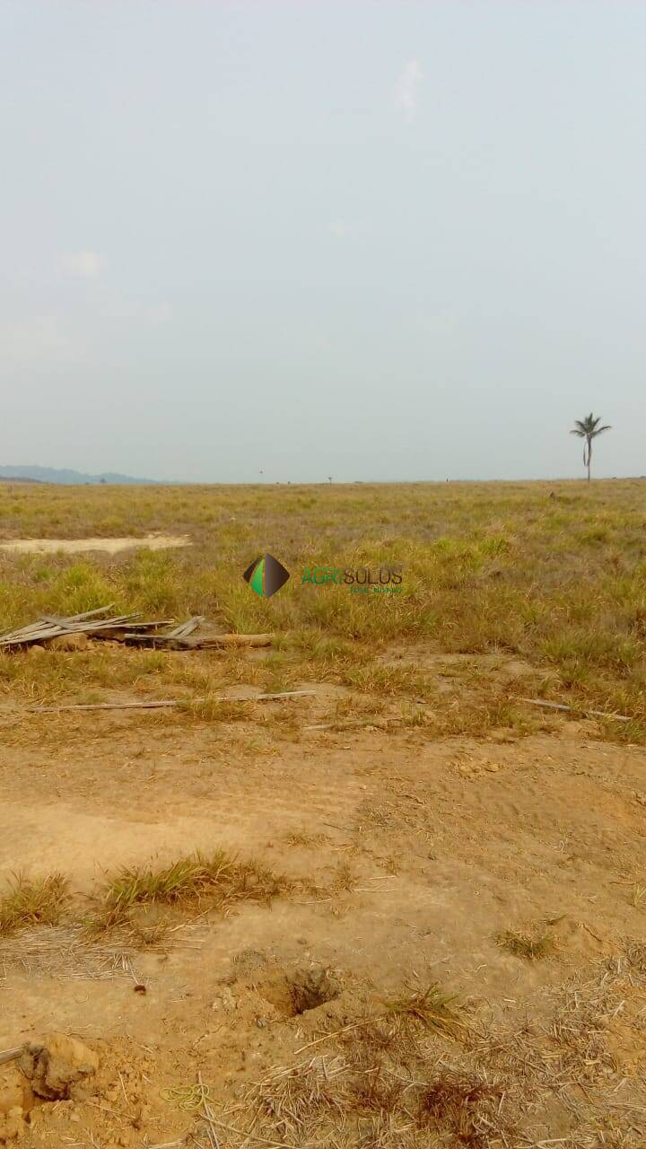 Terreno, 2 hectares - Foto 10