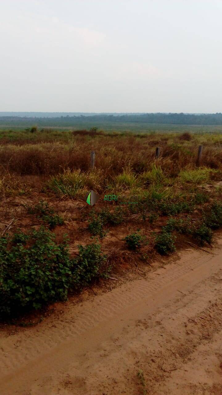 Terreno, 2 hectares - Foto 14