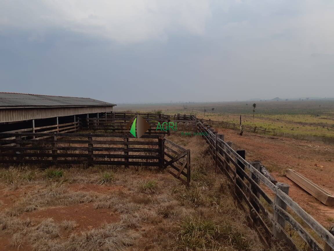 Terreno, 2 hectares - Foto 19