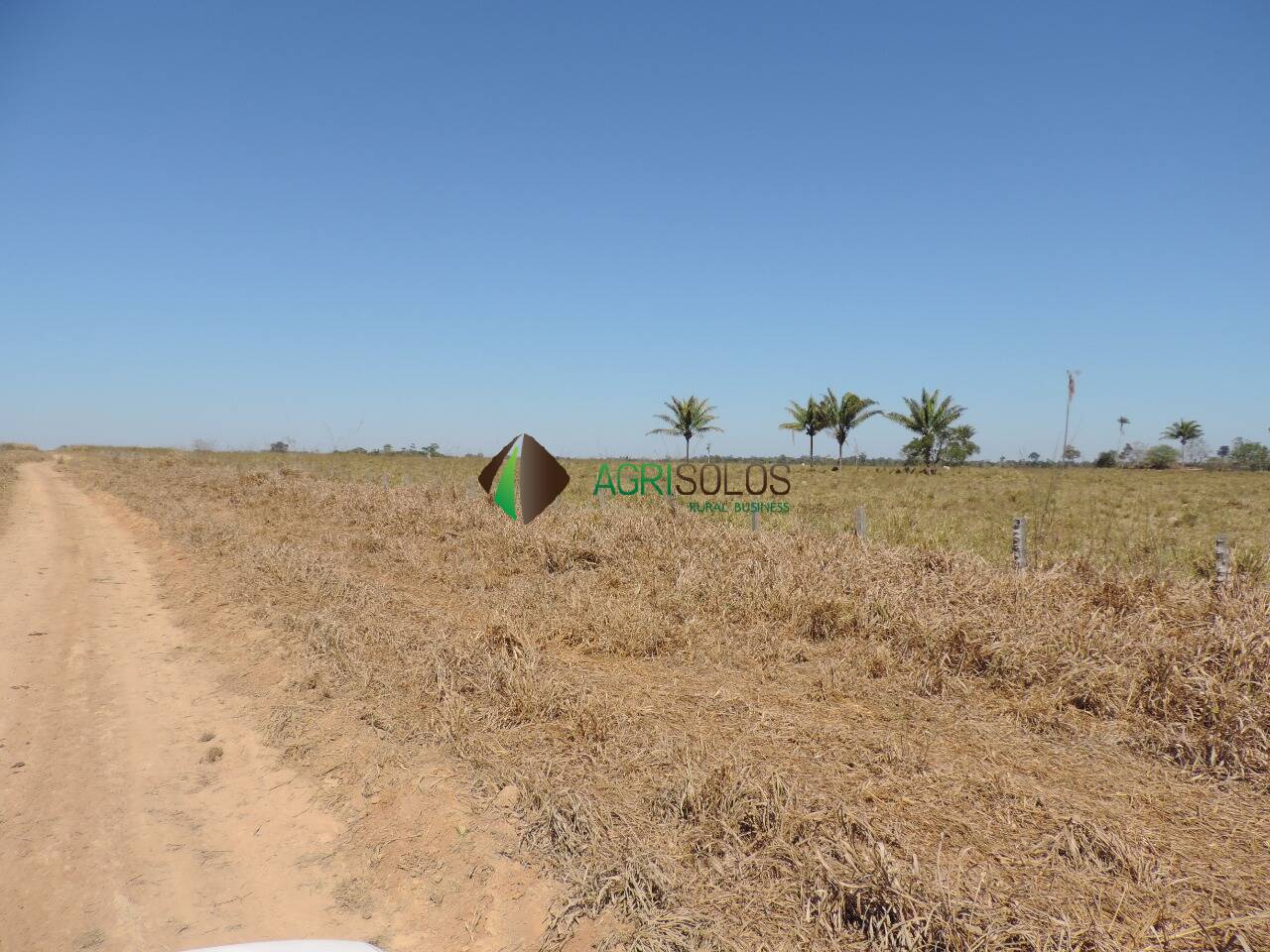 Terreno, 2 hectares - Foto 27