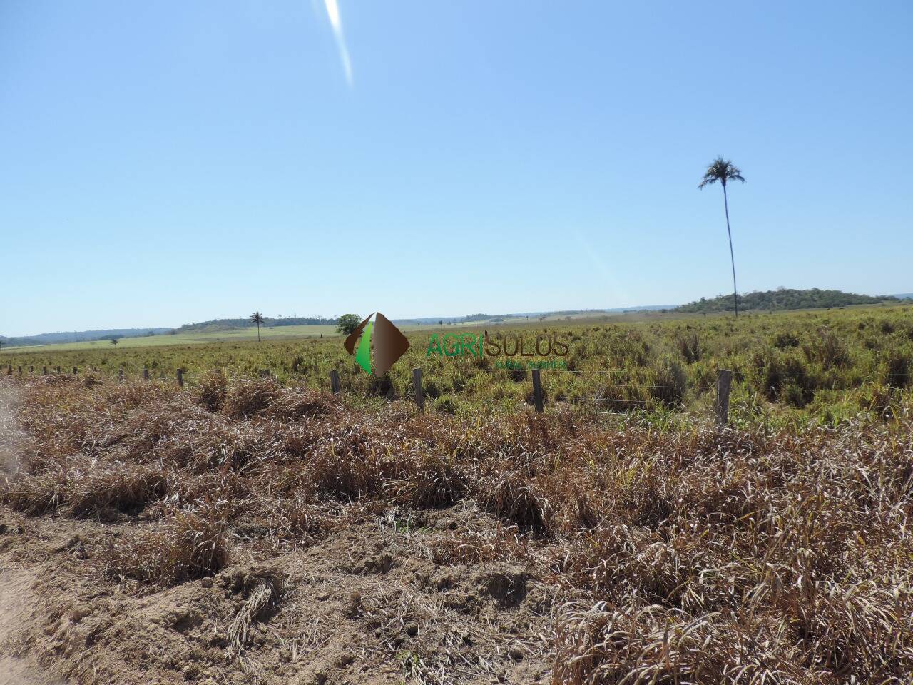 Terreno, 2 hectares - Foto 29