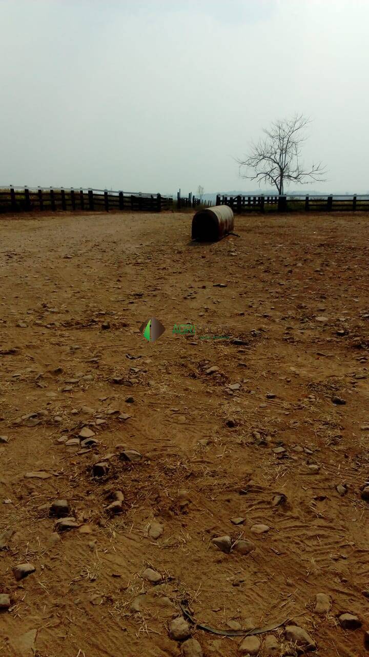 Terreno, 2 hectares - Foto 40