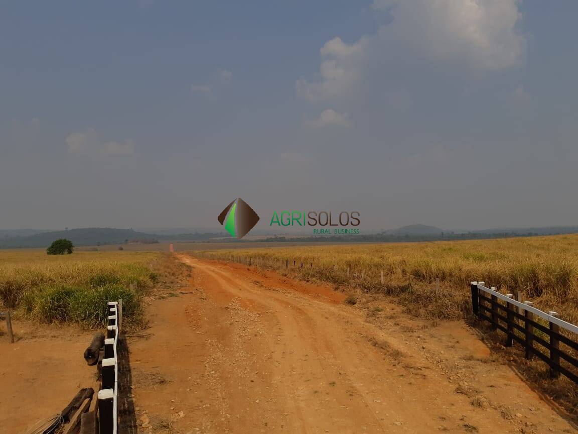 Terreno, 2 hectares - Foto 42
