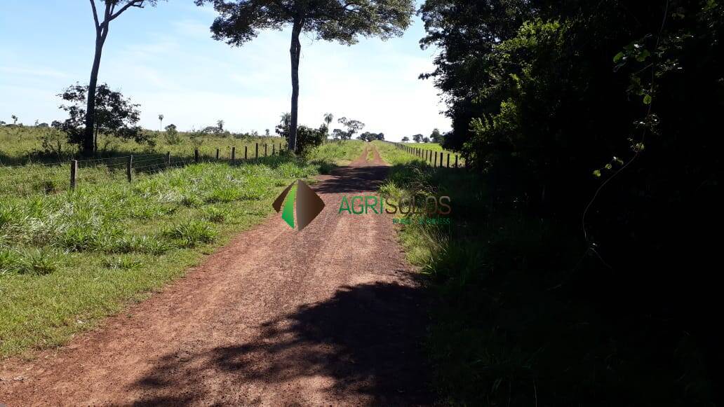 Terreno, 1 hectares - Foto 3