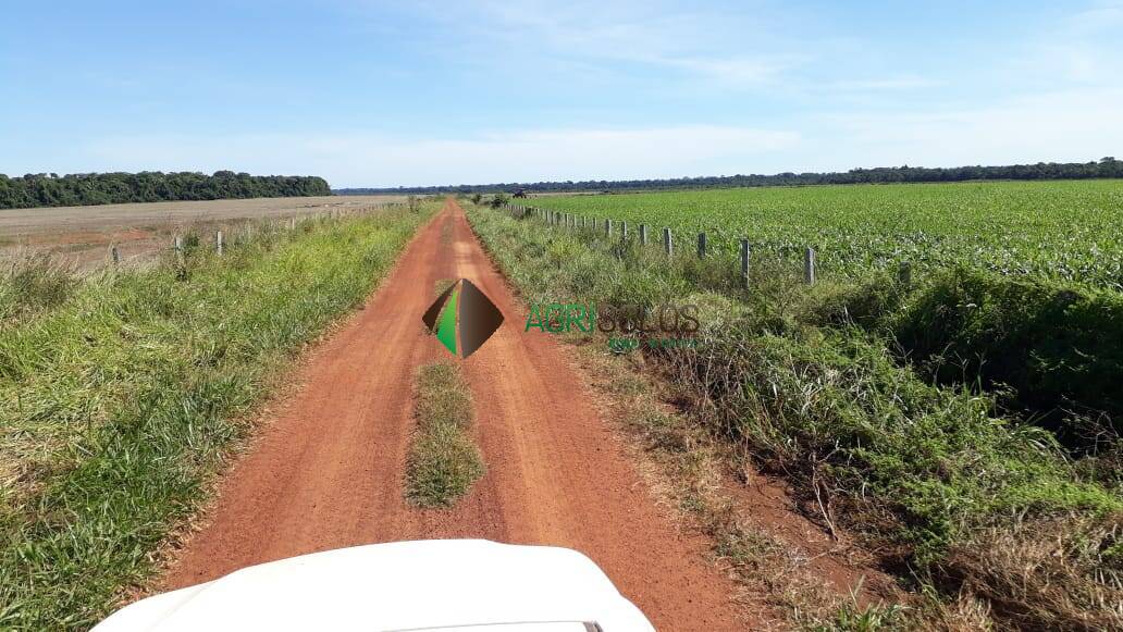 Terreno, 1 hectares - Foto 6