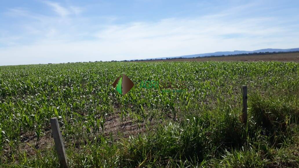 Terreno, 1 hectares - Foto 9