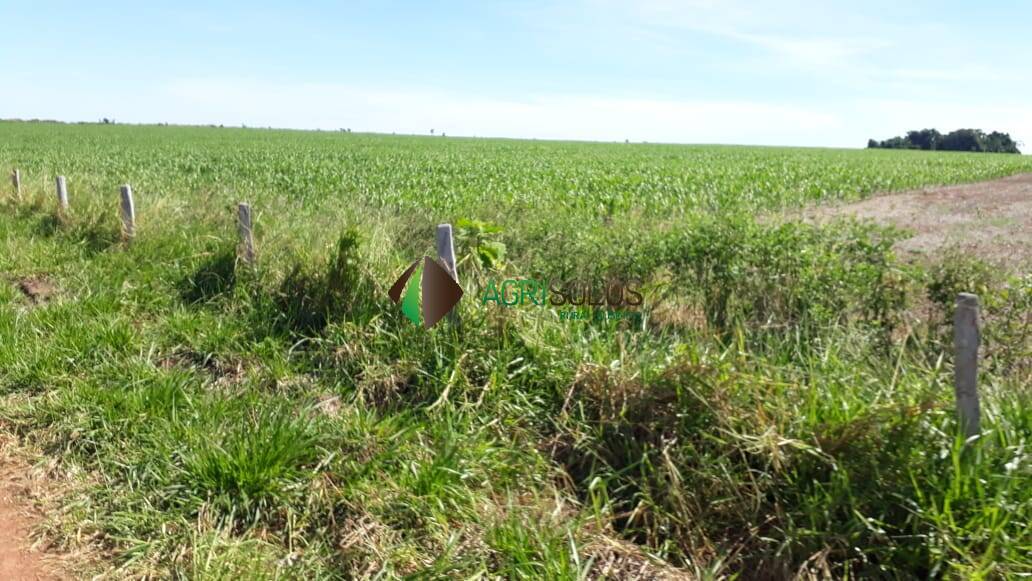Terreno, 1 hectares - Foto 7
