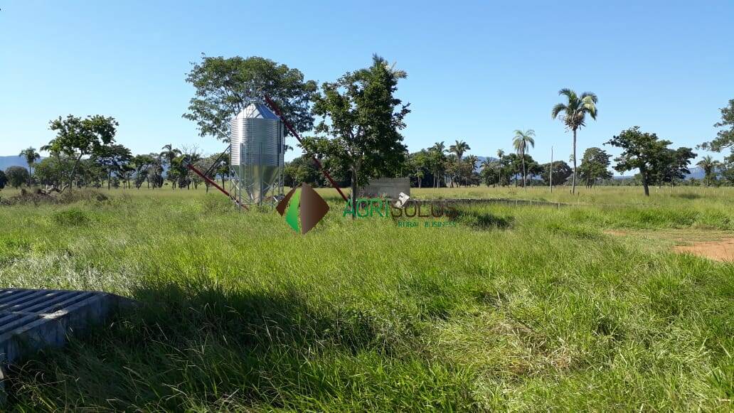 Terreno, 1 hectares - Foto 13