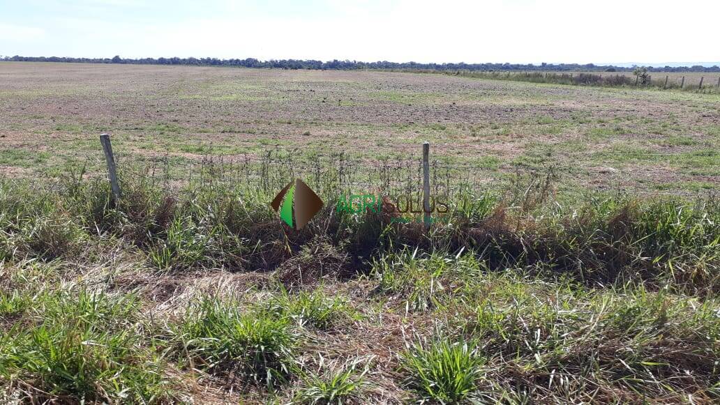 Terreno, 1 hectares - Foto 11