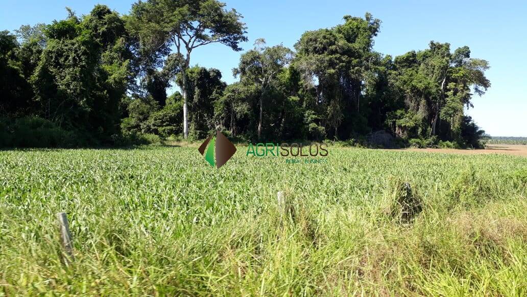 Terreno, 1 hectares - Foto 16