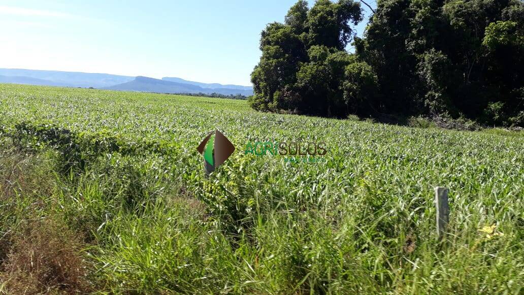Terreno, 1 hectares - Foto 23