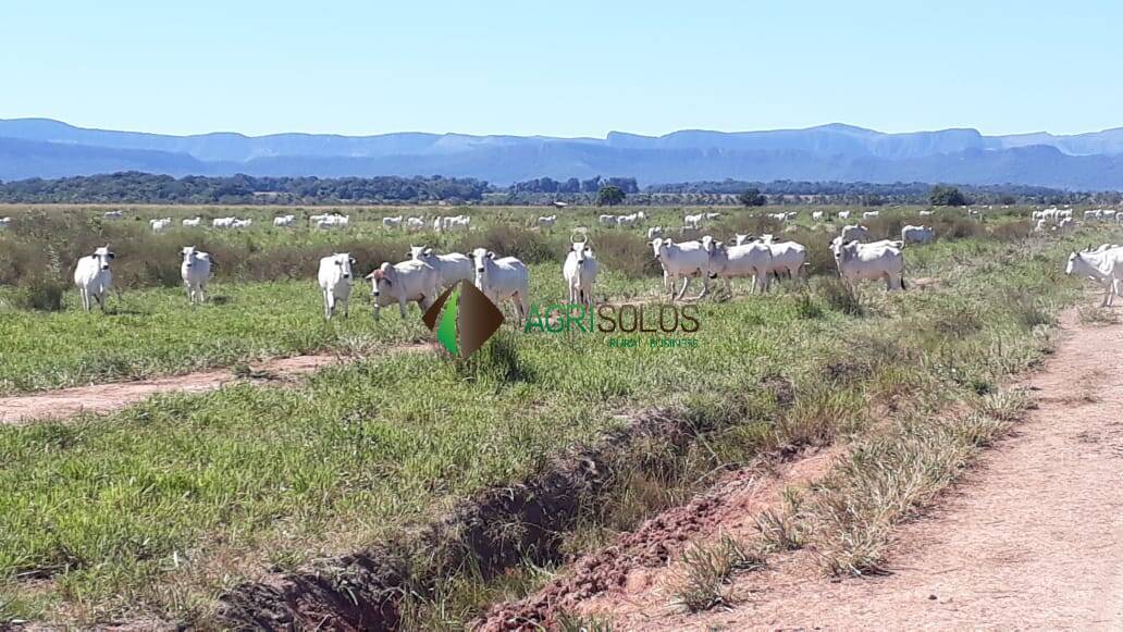 Terreno, 1 hectares - Foto 30