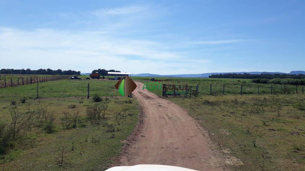 Terreno, 1 hectares - Foto 31