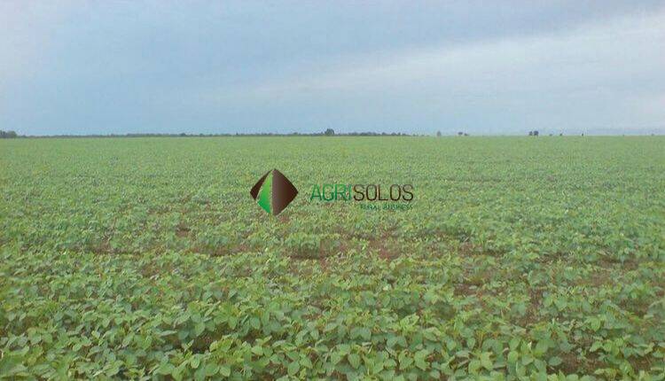 Terreno, 1 hectares - Foto 3