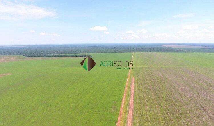 Terreno, 1 hectares - Foto 8