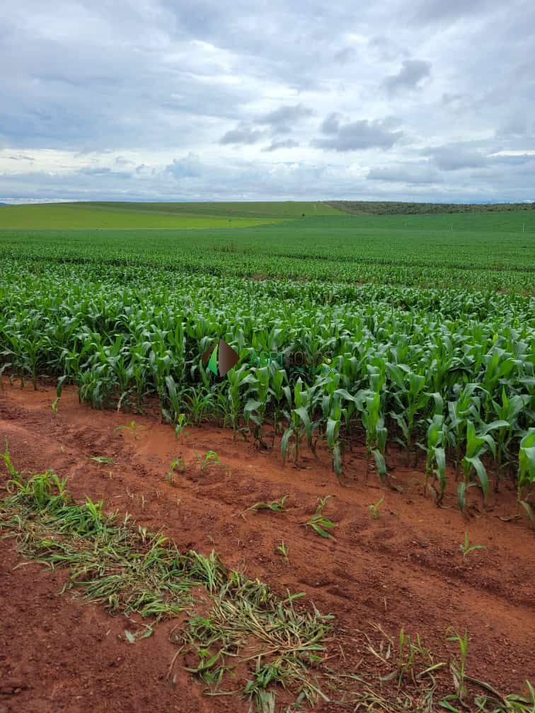 Terreno, 1 hectares - Foto 1