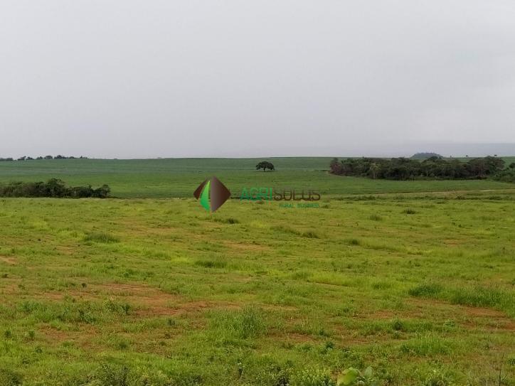 Terreno, 1000 m² - Foto 2