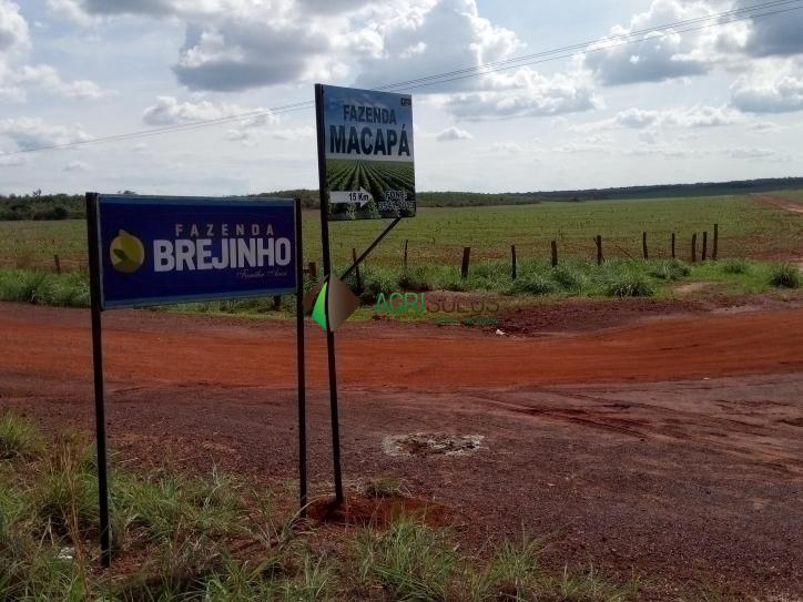Terreno, 1000 m² - Foto 13