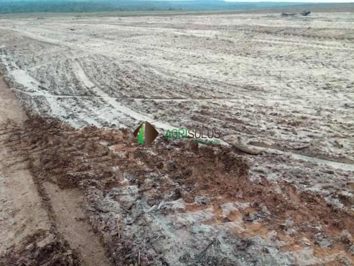 Terreno à venda, 2100m² - Foto 2