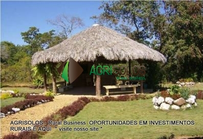 Terreno à venda, 1200m² - Foto 2
