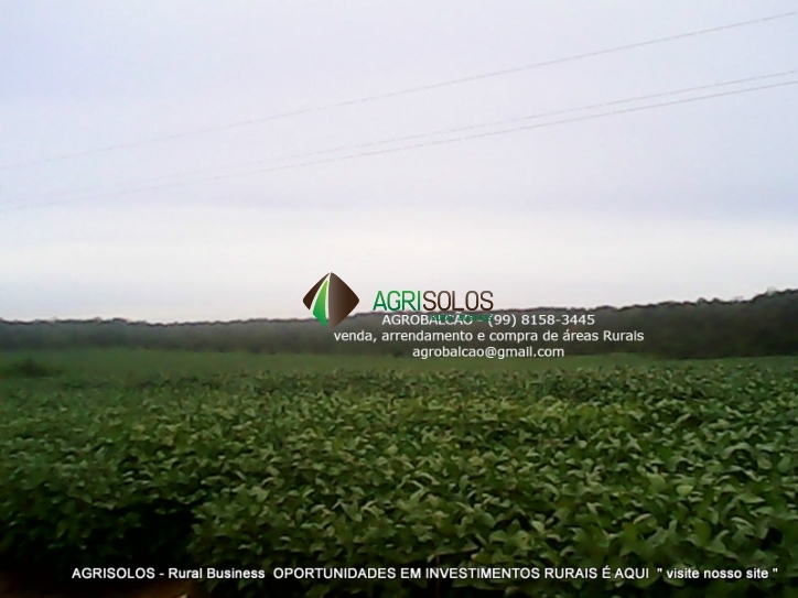 Terreno à venda, 1200m² - Foto 4