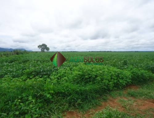 Terreno à venda, 4200m² - Foto 1