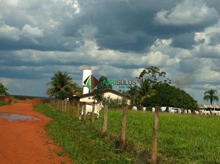 Fazenda-Sítio-Chácara, 3 hectares - Foto 1